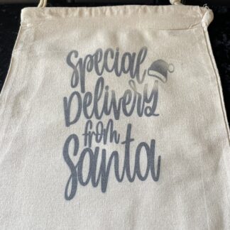 Special Delivery from Santa Bag